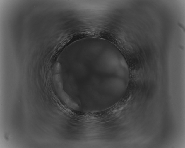 X0000092320913200709141410