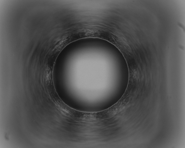 X0000092320914200709141410