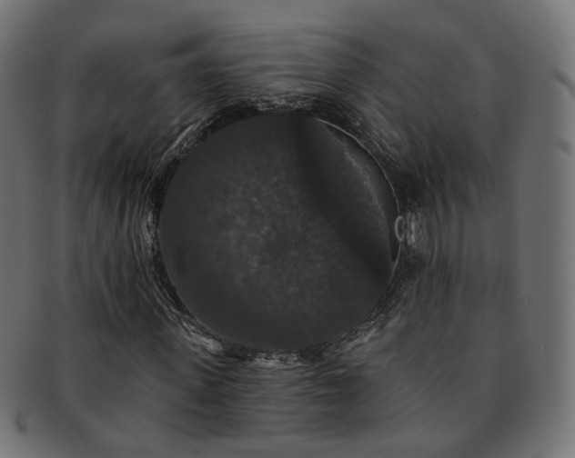 X0000092320915200709141410