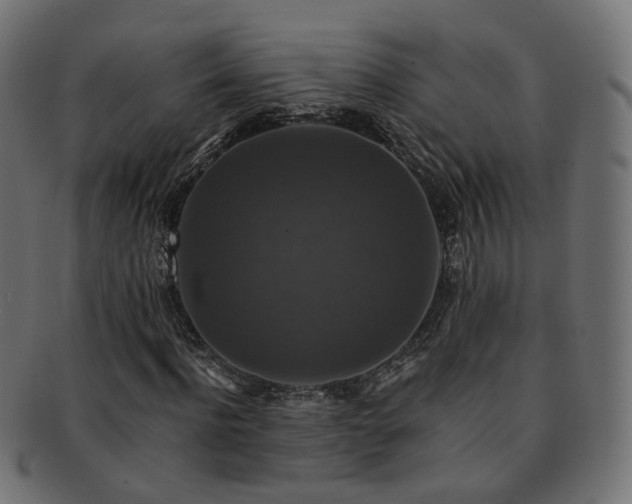 X0000092320916200709141410