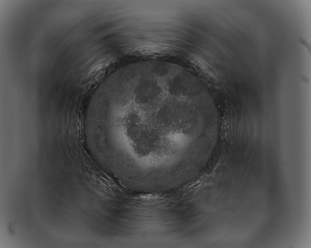 X0000092320917200709141410