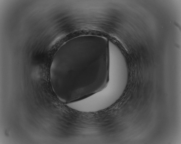 X0000092320919200709141410