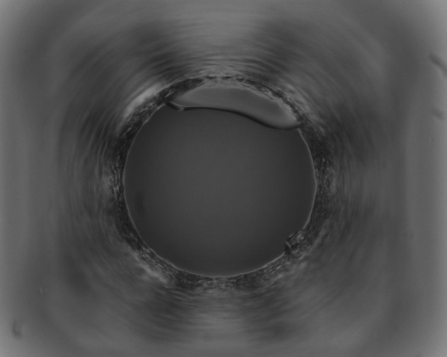 X0000092320920200709141410