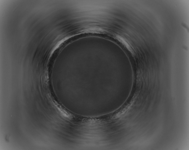 X0000092320923200709141410