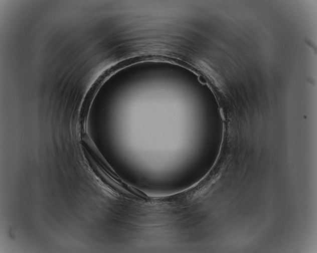 X0000092320924200709141410