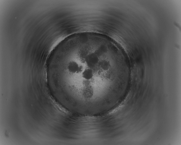 X0000092320925200709141410