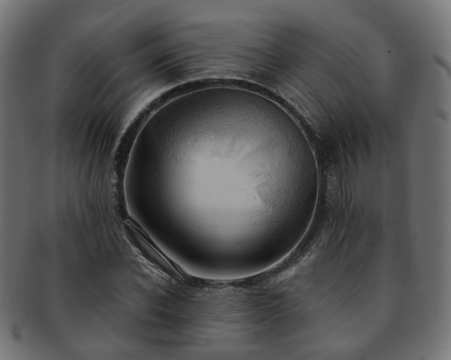 X0000092320926200709141410