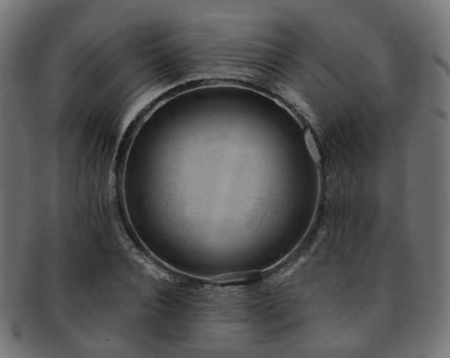 X0000092320928200709141410