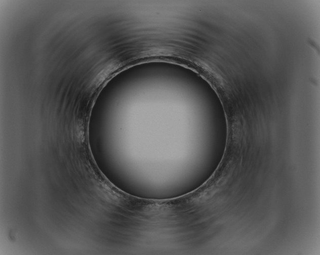 X0000092320929200709141410