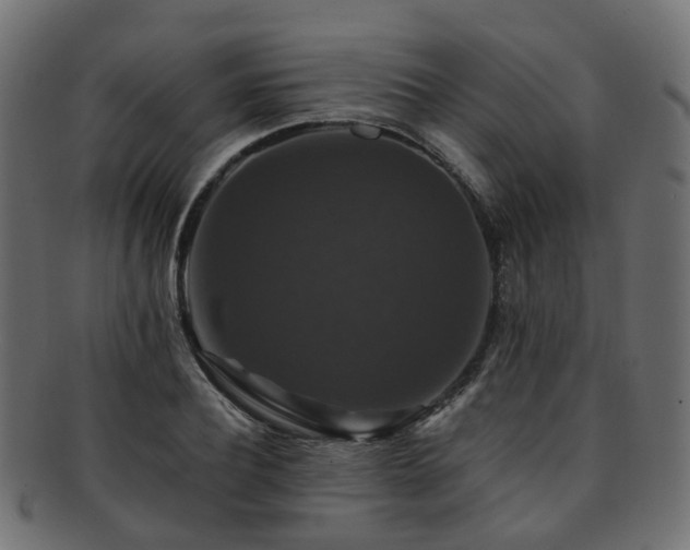 X0000092320932200709141410