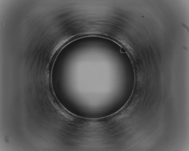 X0000092320933200709141410