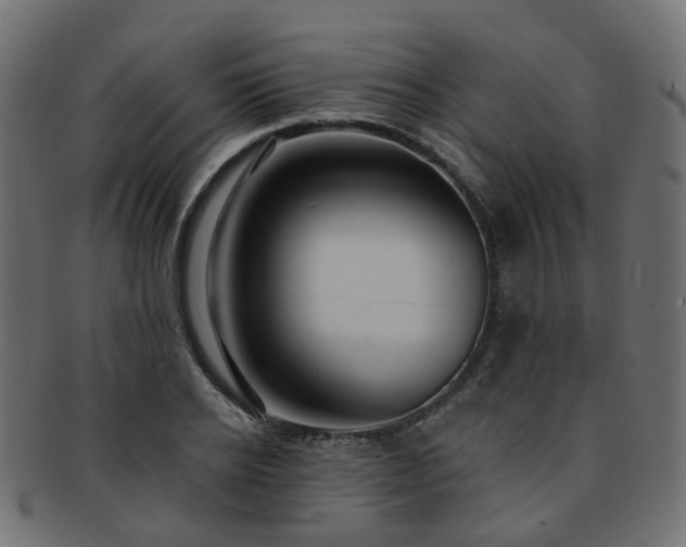X0000092320934200709141410