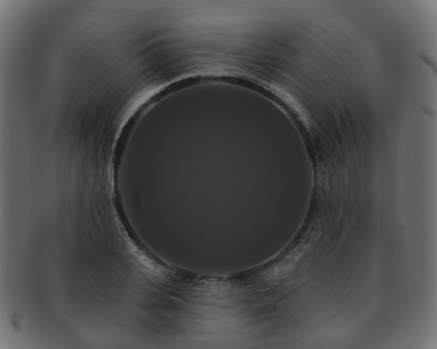 X0000092320935200709141410