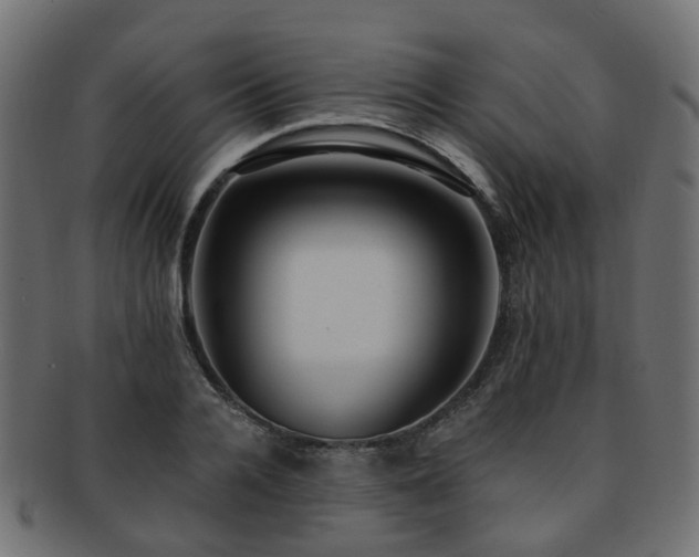 X0000092320936200709141410