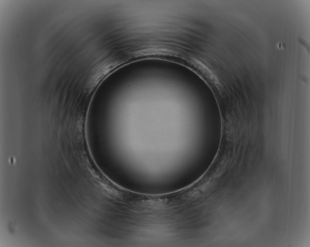 X0000092320937200709141410