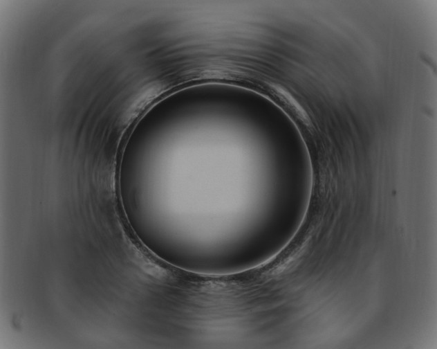 X0000092320938200709141410