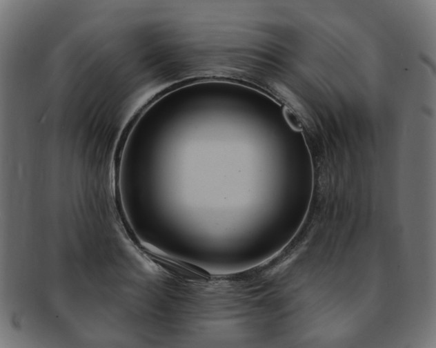 X0000092320940200709141410
