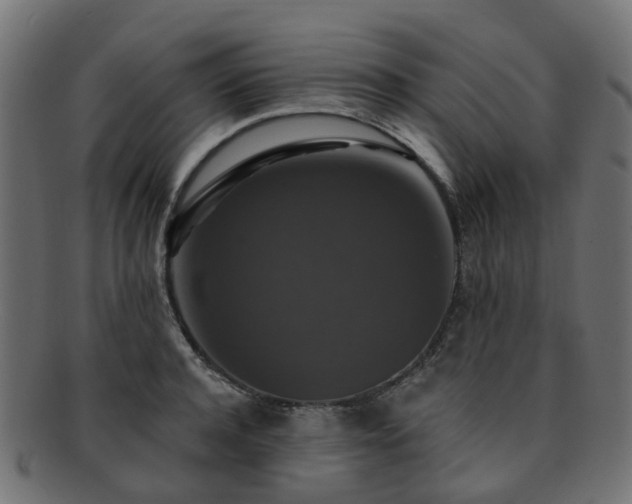 X0000092320944200709141410