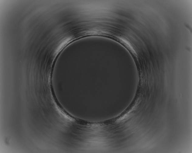 X0000092320946200709141410