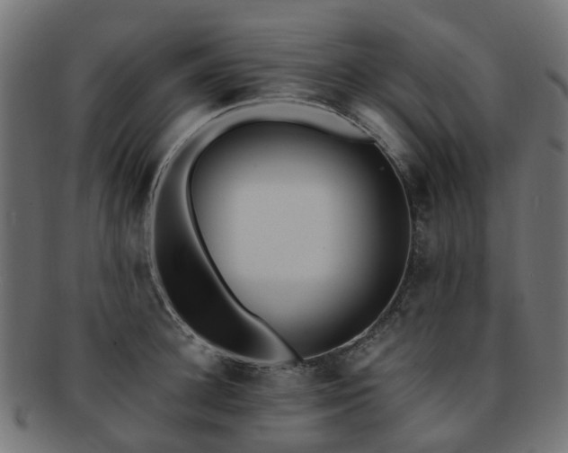 X0000092320948200709141410