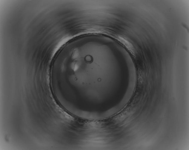 X0000092320950200709141410