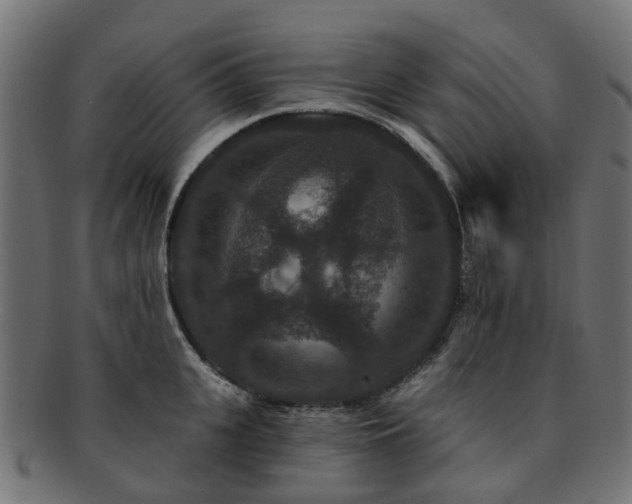 X0000092320951200709141410