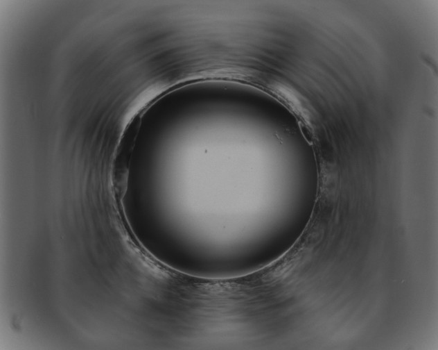 X0000092320952200709141410