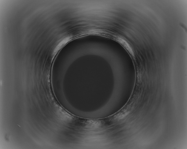 X0000092320954200709141410