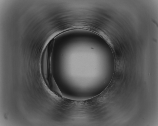 X0000092320955200709141410