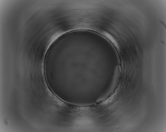 X0000092320958200709141410