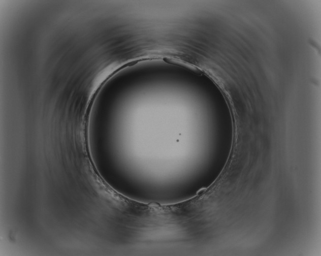 X0000092320960200709141411
