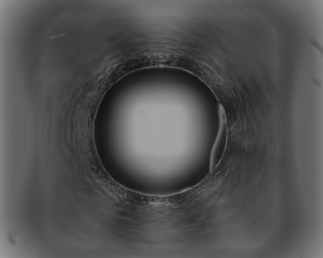X0000092320961200709141410