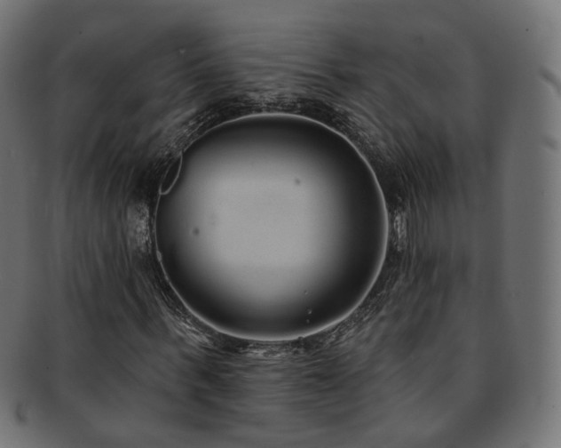 X0000092320963200709141410