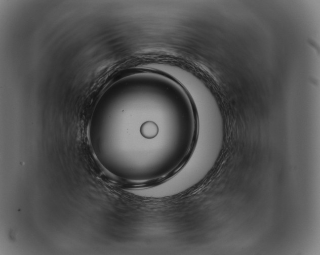 X0000092320965200709141410
