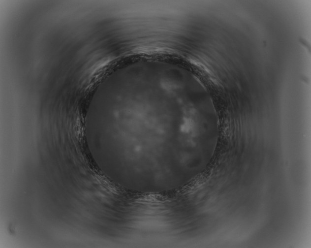 X0000092320966200709141410