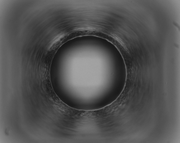 X0000092320967200709141410