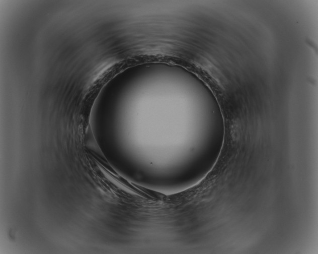 X0000092320968200709141410