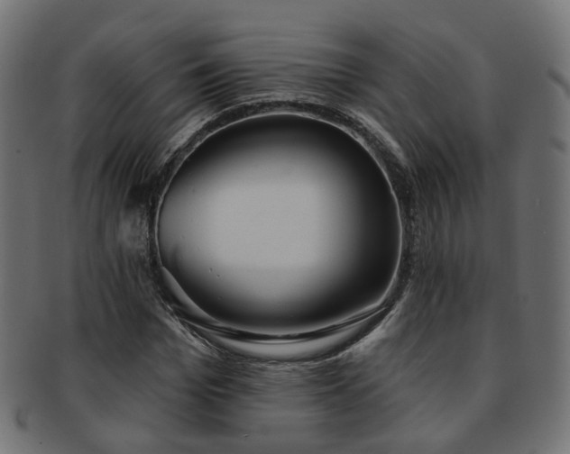 X0000092320969200709141410