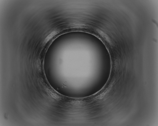 X0000092320970200709141410