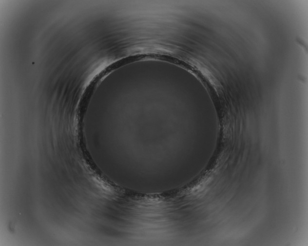 X0000092320975200709141410
