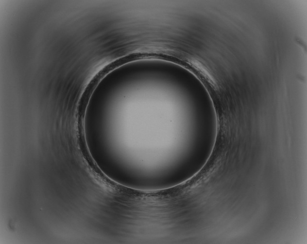 X0000092320976200709141410