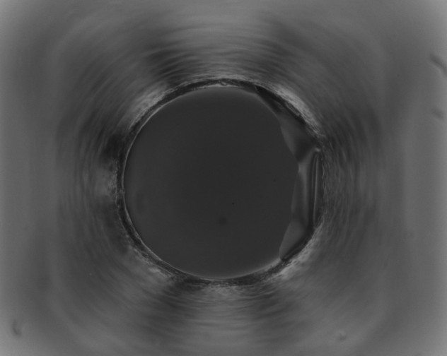 X0000092320977200709141410