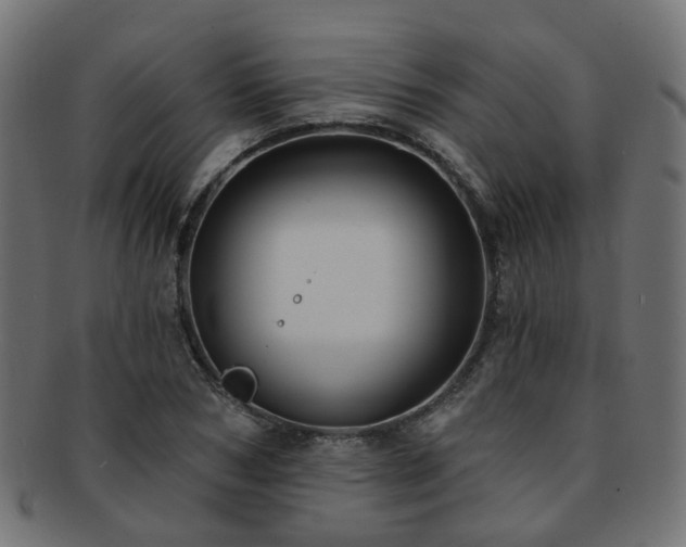X0000092320978200709141410
