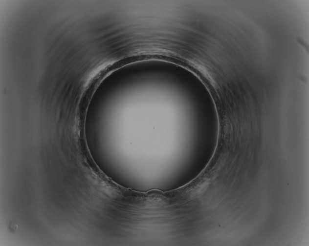 X0000092320979200709141410