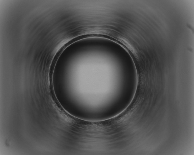 X0000092320980200709141410
