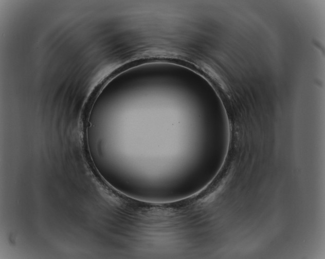 X0000092320981200709141410