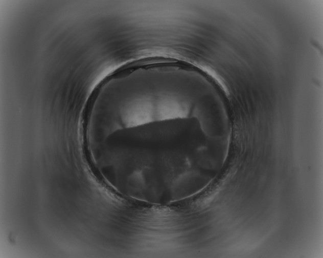 X0000092320983200709141410