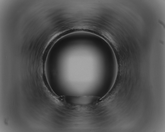 X0000092320984200709141410