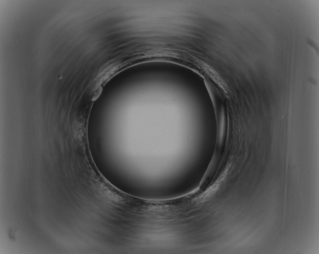 X0000092320985200709141410