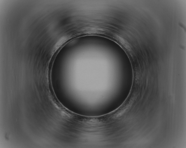 X0000092320986200709141410